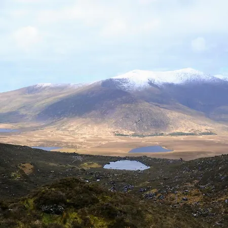 Crios Og Brandon View