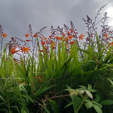 Crios Og Brandon View Hébergement de vacances *