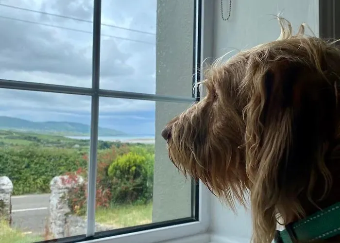 Crios Og Brandon View Vakantiehuis *