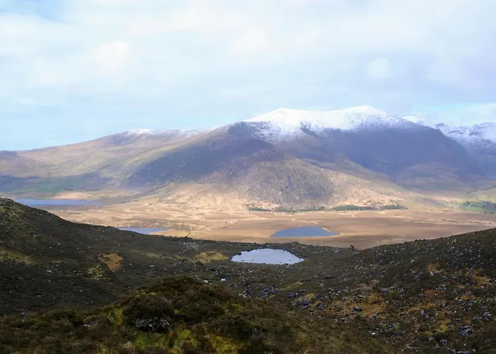 Crios Og Brandon View