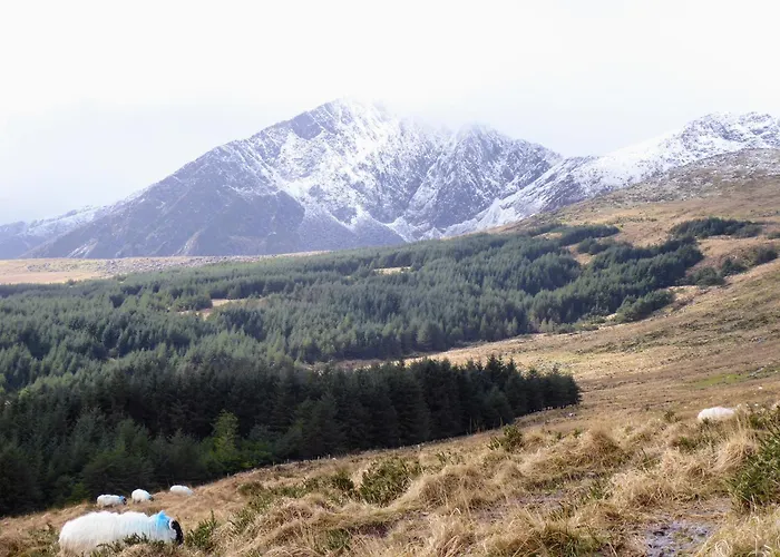 Crios Og Brandon View * Ballyduff (Corkaguiny)