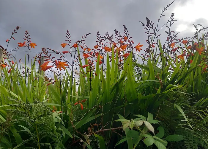 Crios Og Brandon View Vakantiehuis *